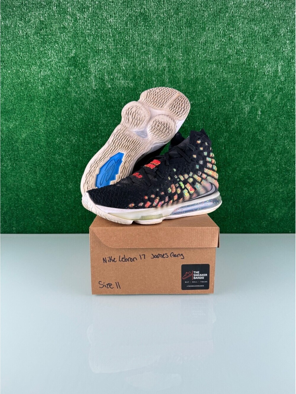Size 11 - Nike LeBron 17 James Gang